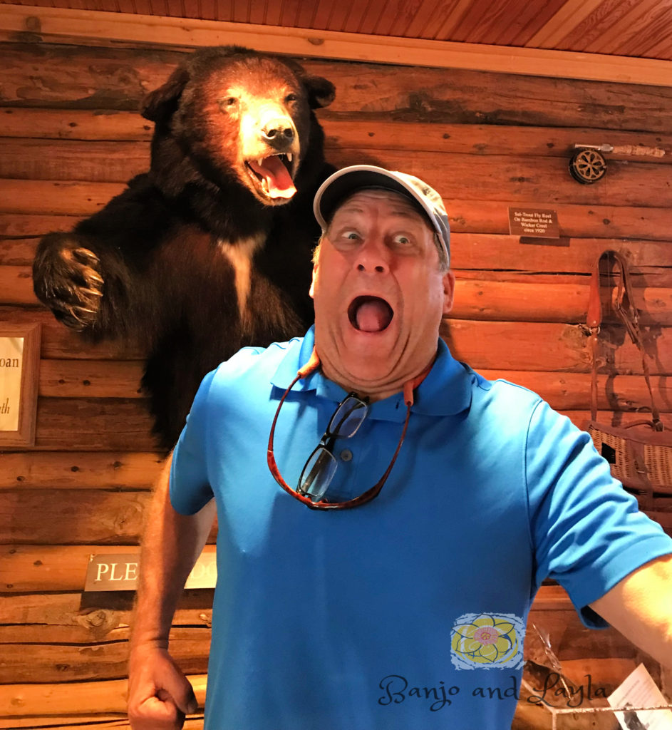 Be bear aware in Yellowstone National Park