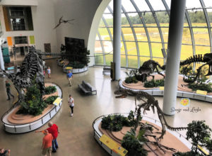 Discovery Park America