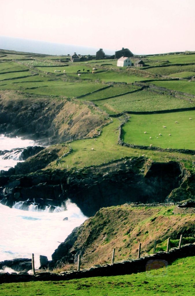 The cliffs were gorgeous along the Ring of Kerry in Ireland.