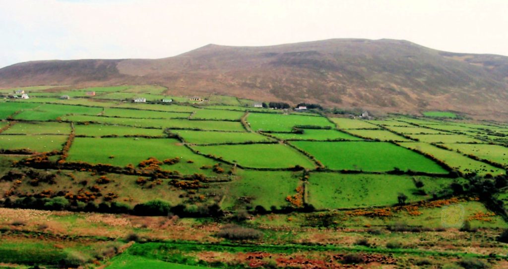 Green grass fields divided by gray stone walls along the Ring of Kerry in Ireland.