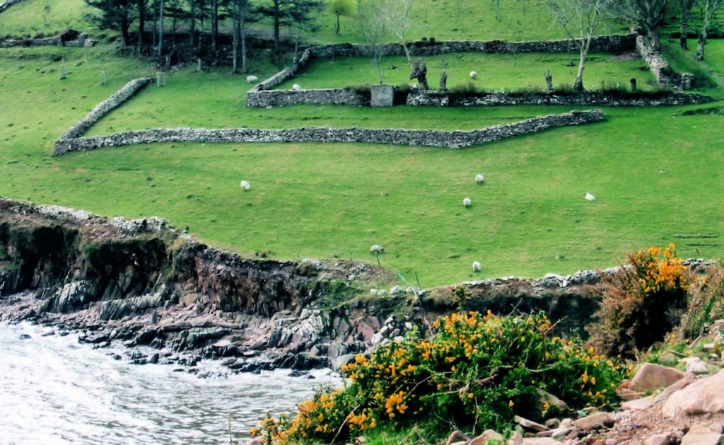 Irish farmland by the cliffs along Ireland's Ring of Kerry.