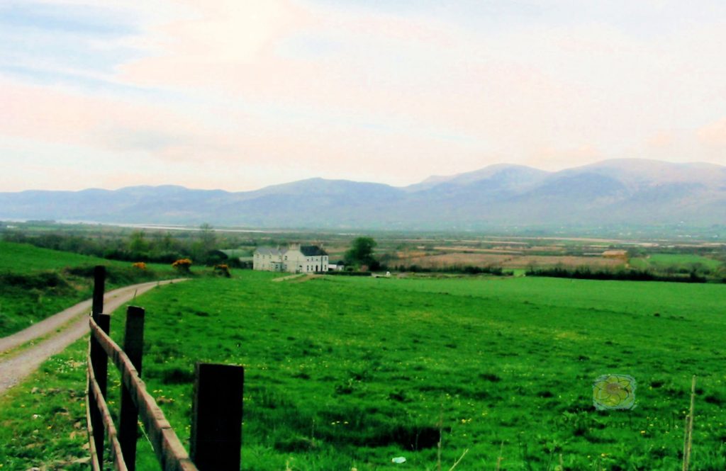 Green grass farmlands and mountains provided beautiful views along the Ring of Kerry in Ireland.