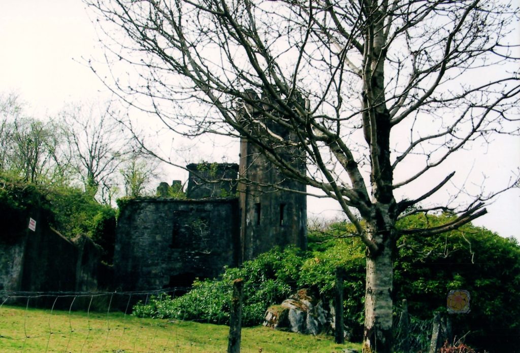 Ross Castle on the bank of Lough Leane along the Ring of Kerry in Ireland.