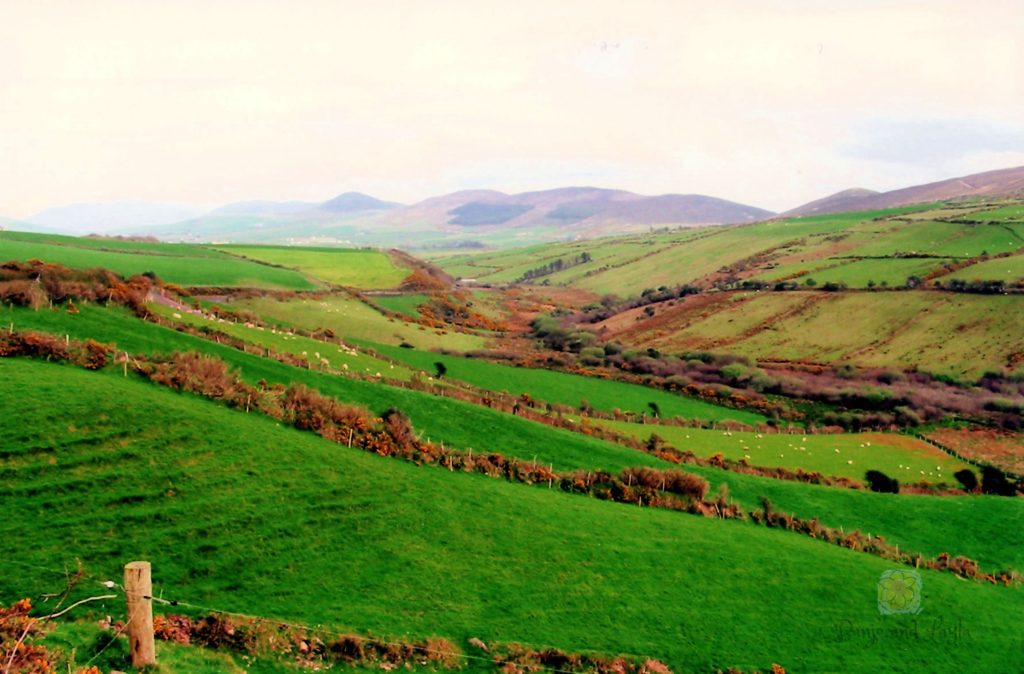 Green rolling hills along the Ring of Kerry in Ireland.