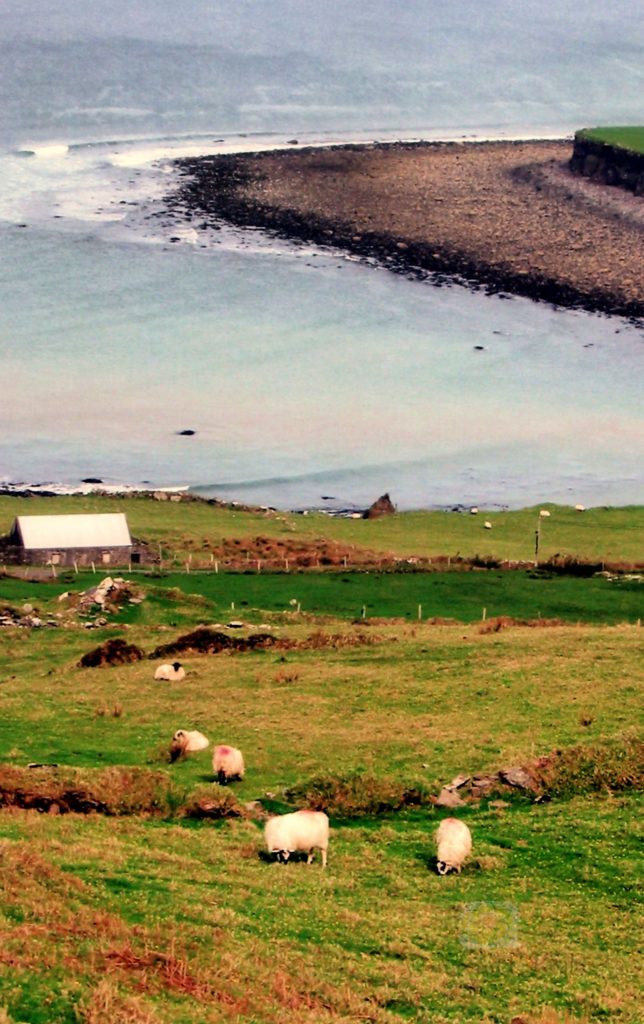 Scenic view along the Ring of Kerry in Ireland.