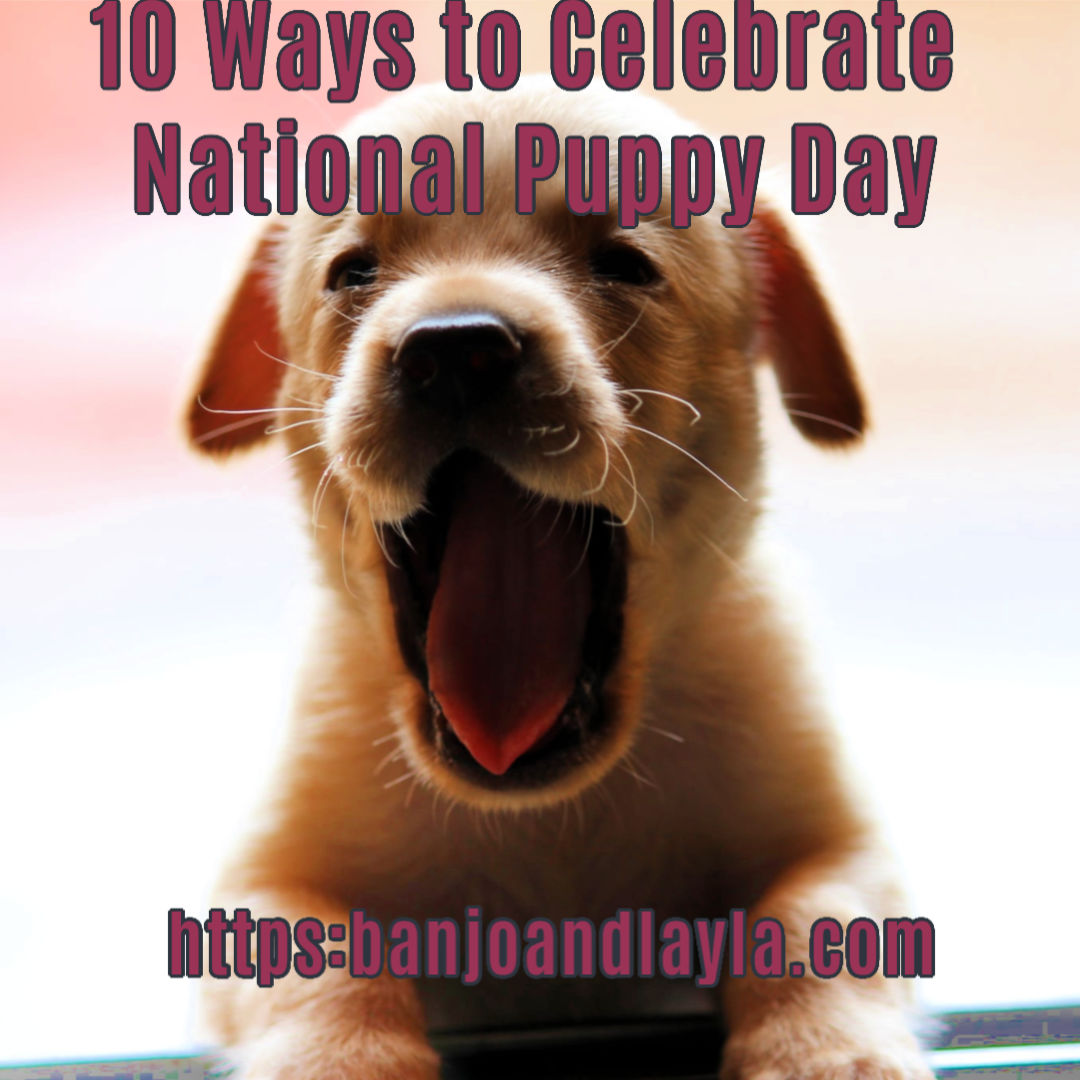 Celebrate National Puppy Day Any Day!