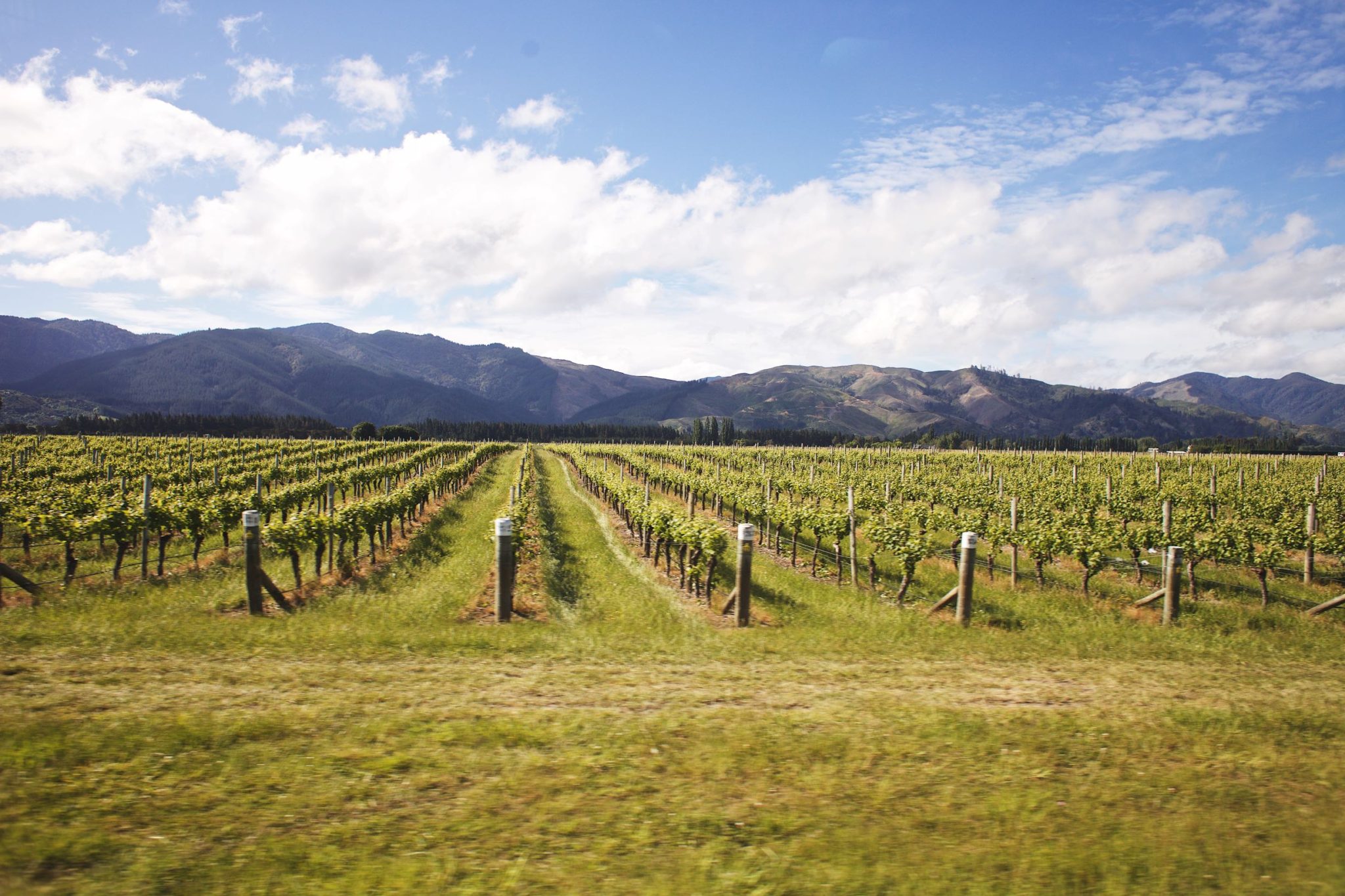 The Beautiful Scenery Of New Zealand