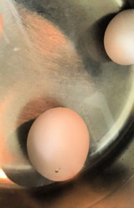Place the eggs in a single layer in a saucepan and cover them with completely with water. 