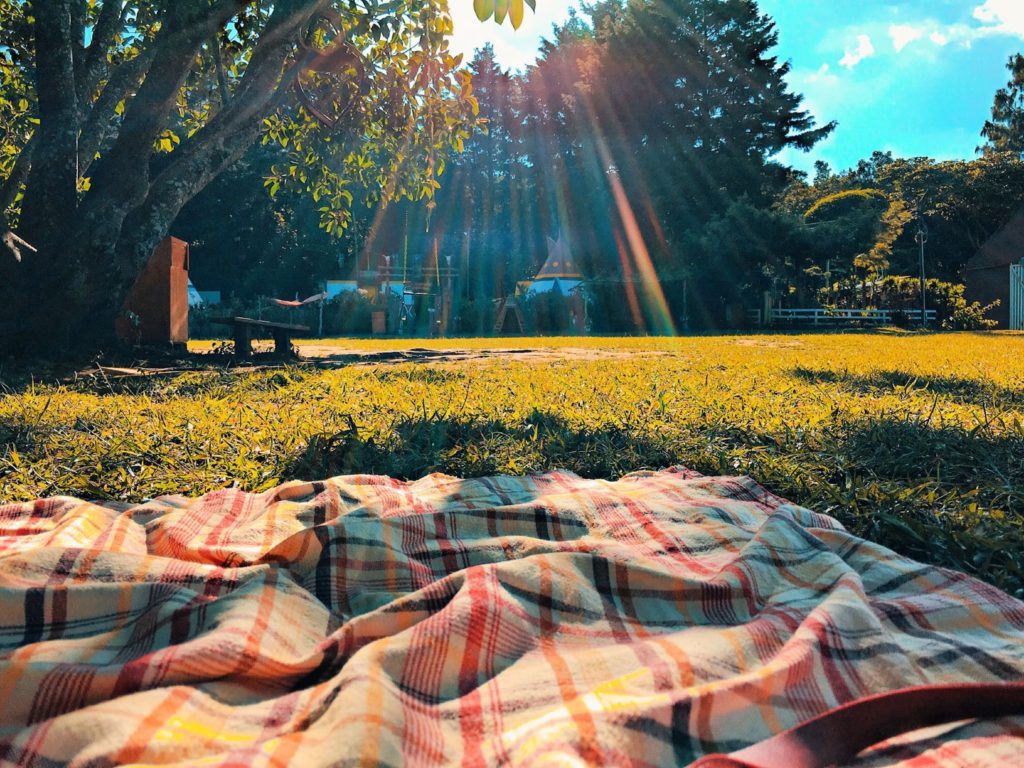 Bring the best blanket for picnics.