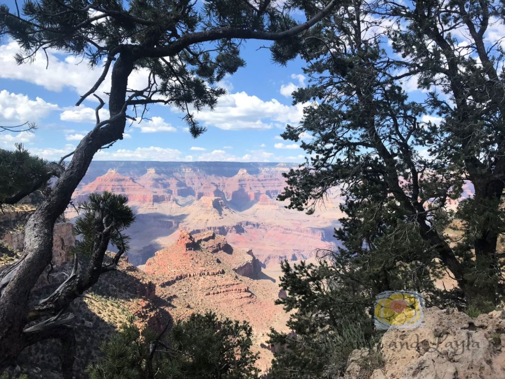 View from Grand Canyon South Rim