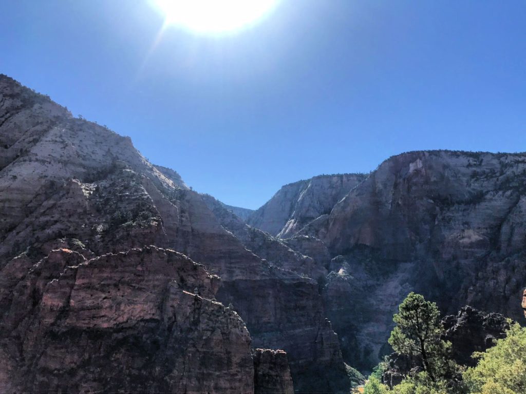 Zion National Park All You Need to Know