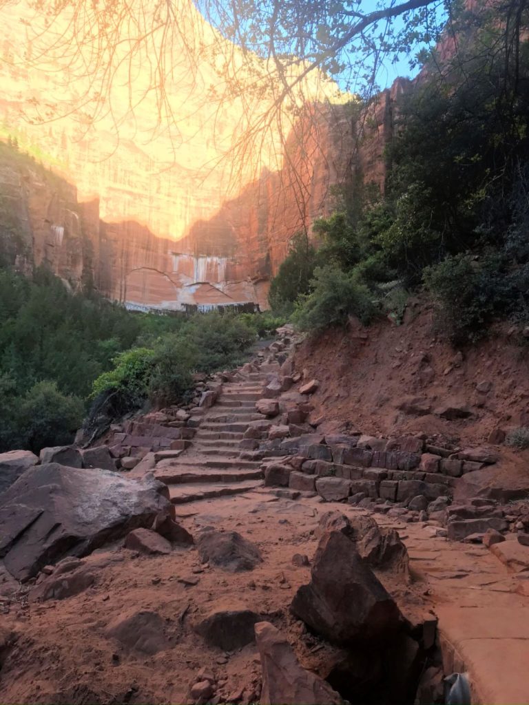 The hiking trail to The Emerald Pools in Zion National Park