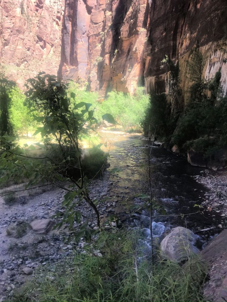 Morning hike in Zion National Park