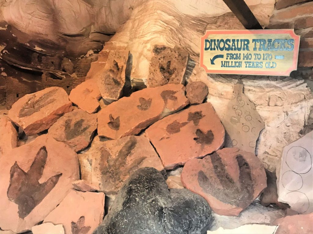 Dinosaur tracks in Moqui Cave