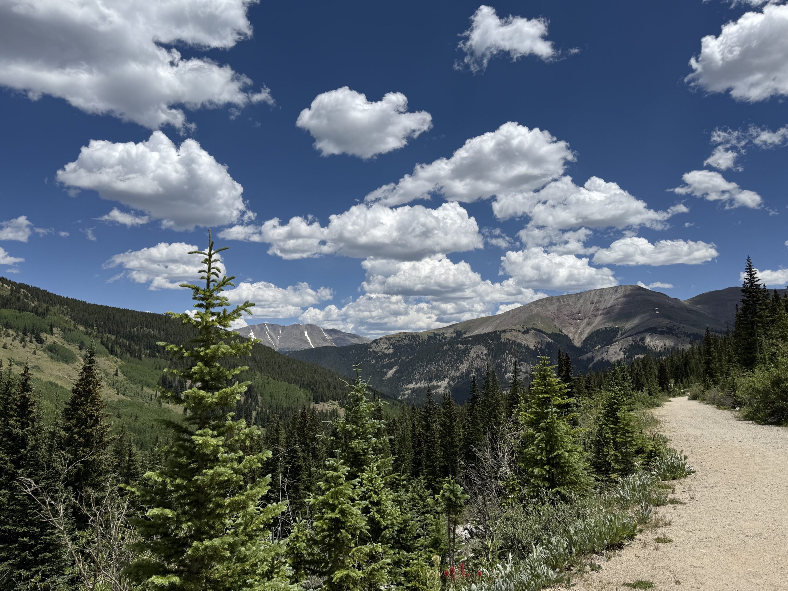 Colorado in the summer